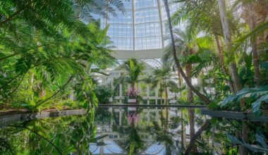 New York Botanical Garden | Jennifer Bernstein