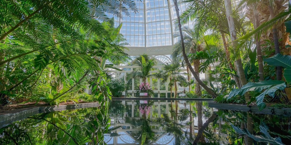 New York Botanical Garden | Jennifer Bernstein