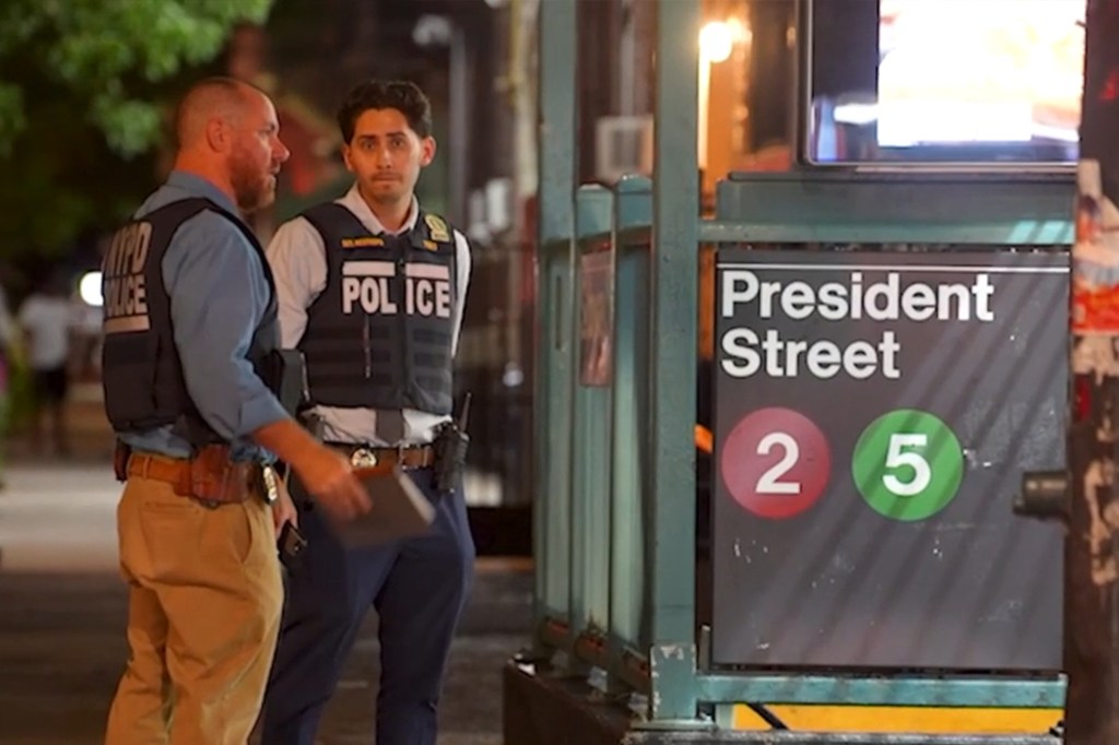 The woman was shot in the chest as a man attempted to steal her purse.