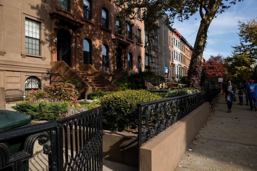 Carroll Gardens. Photo: Paul Frangipane/Brooklyn Eagle