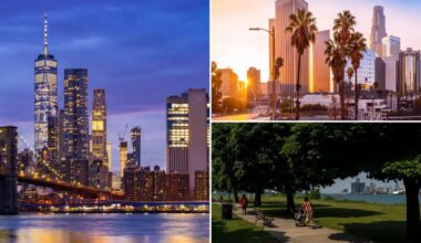 Detroit developer cites tax hikes as reason big blue cities like NYC are struggling: 'Socialists are on the march'