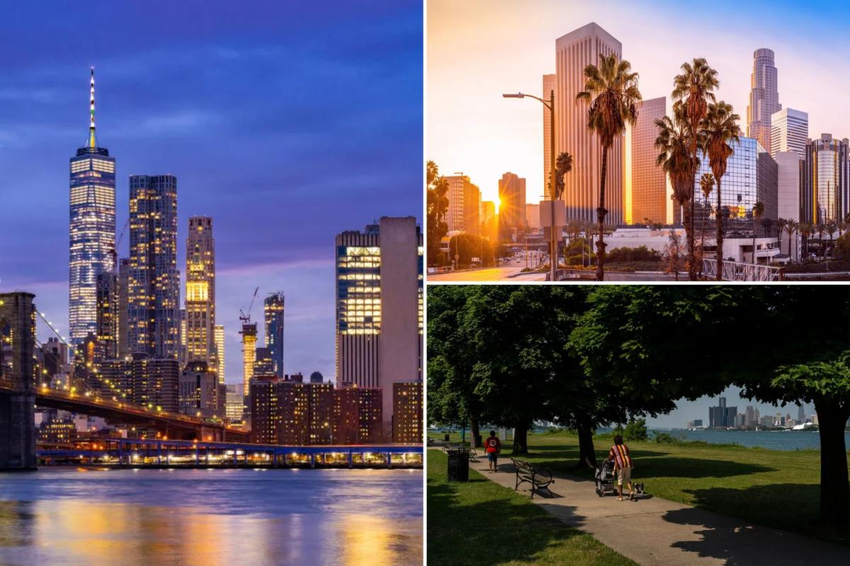 Detroit developer cites tax hikes as reason big blue cities like NYC are struggling: 'Socialists are on the march'
