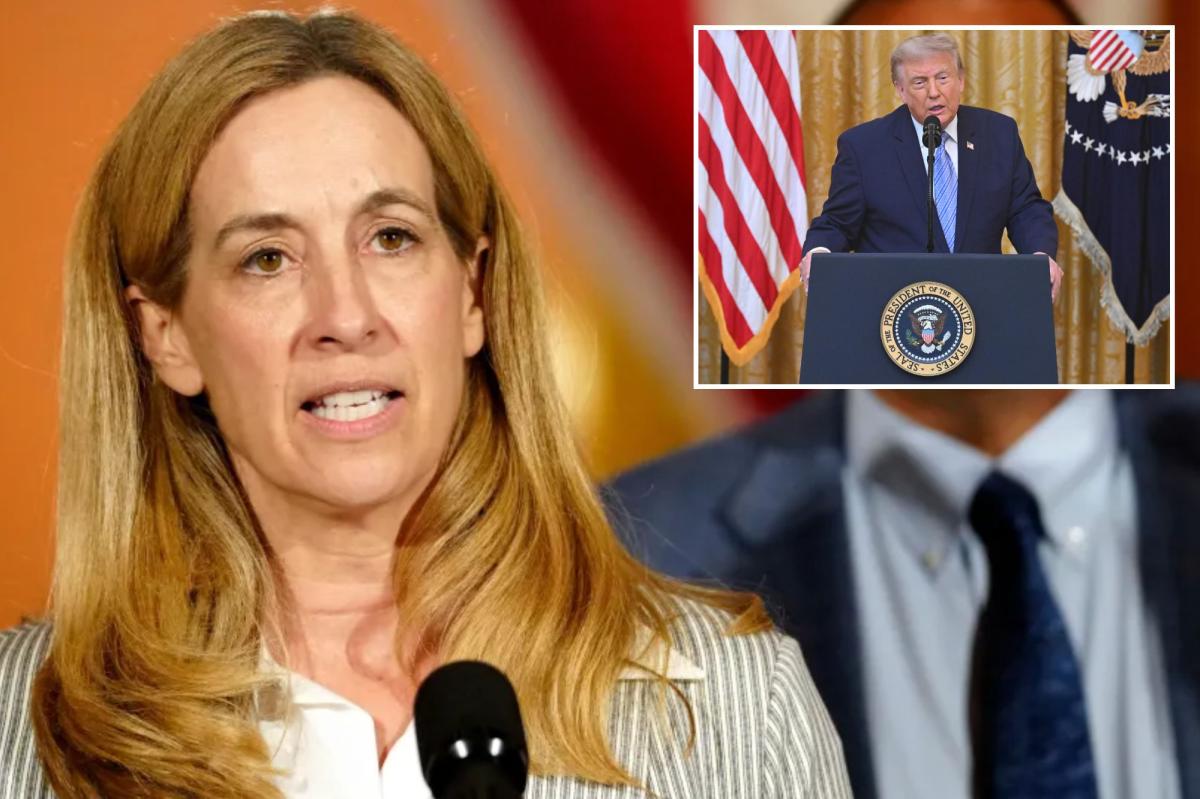 Hundreds of non-citizens voted in NJ elections since 2023 — but Dem gov still blames Trump 
