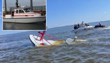 Whale strikes, sinks NJ fire rescue ship returning from NY Harbor after July 4th festivities
