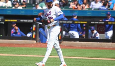 Andy Green backs Devin Williams in Mets closer role despite hiccups