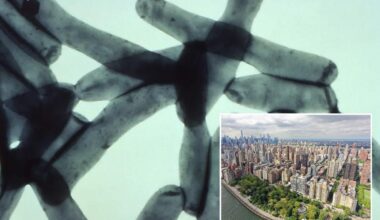 7th person dies in NYC Legionnaires' disease outbreak