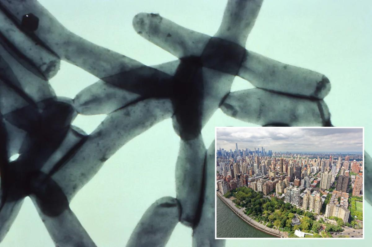 7th person dies in NYC Legionnaires' disease outbreak