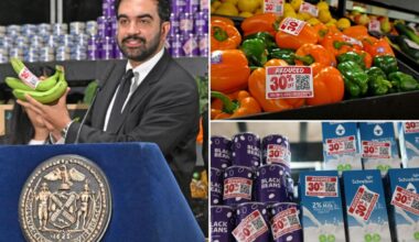 Mamdani plans 30% discounts at city-owned groceries --- but it comes with basket of questions