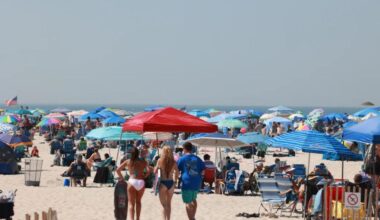 Suspected shark attack at NY beach leaves swimmer's 'bone' exposed: sources