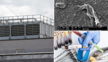 First death reported in NYC’s legionnaires disease outbreak as number of infected rises