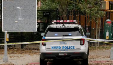 Goon opens fire near children on NYC playground as 2 people wounded: sources