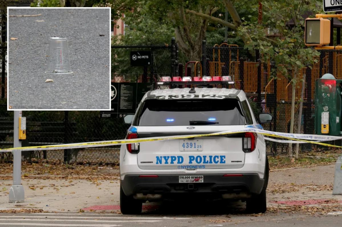 Goon opens fire near children on NYC playground as 2 people wounded: sources