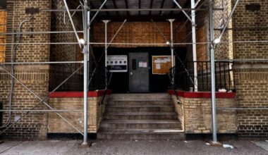 Putrid odor leads cops to 'highly decomposed' corpses in NYC building, one body under couch