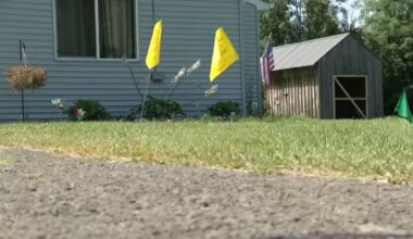Radioactive pollution was detected in the yards of at least 120 homes in Niagara County.
