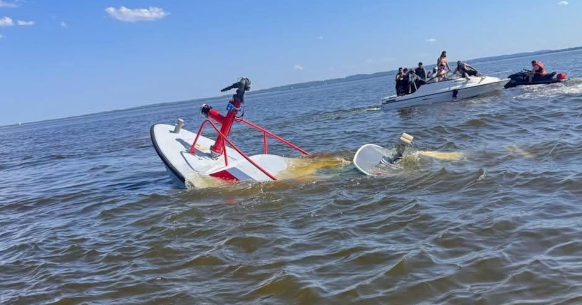 Whale sinks N.J. fire department's boat as firefighters scramble to escape