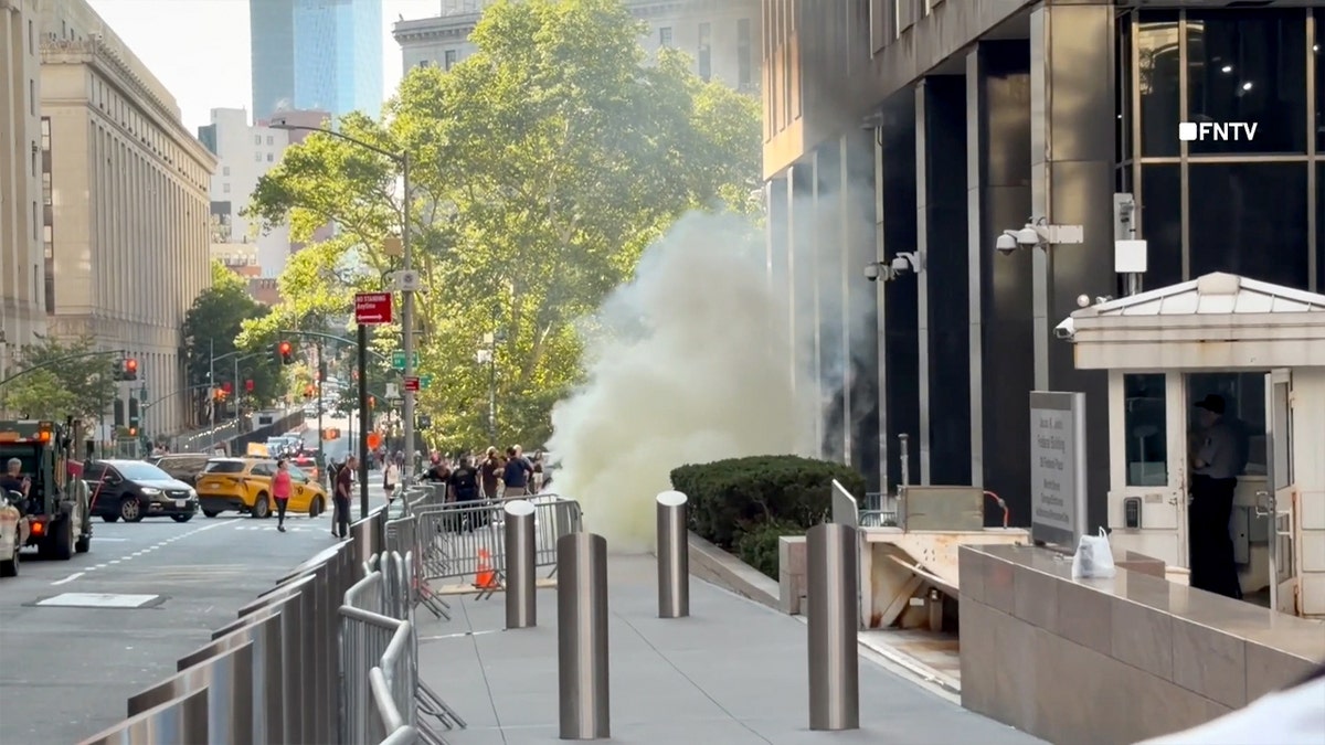 The FBI alleges that an individual caused a fire with an incendiary device outside of a federal building in New York City.