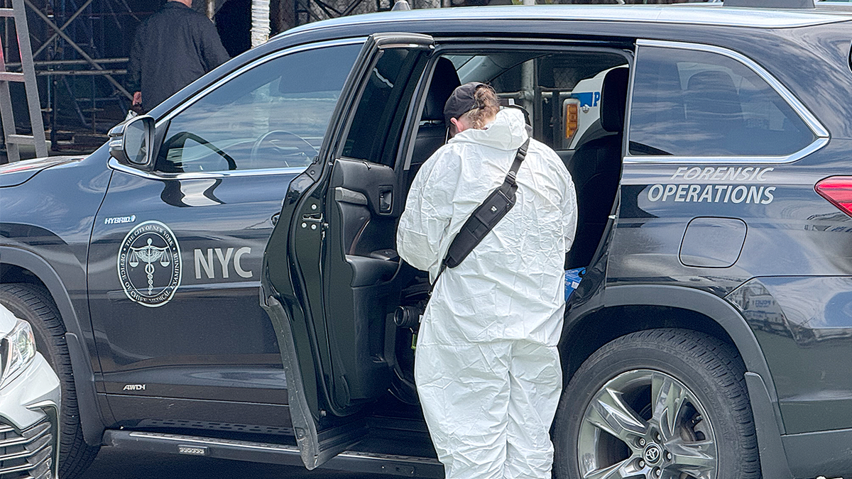 School chimney with human remains forensics probe