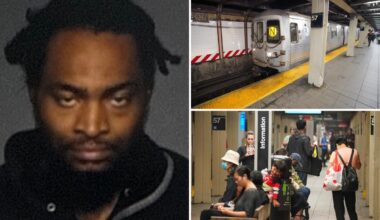 Violent parolee arrested after allegedly tossing elderly woman onto NYC subway tracks