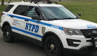 Man posing as Con Ed worker steals woman's purse at gunpoint at Brooklyn home, police say