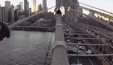 An NYPD Emergency Service Unit officer reaches a woman perched atop the steel cables of the Brooklyn Bridge before pulling her to safety.