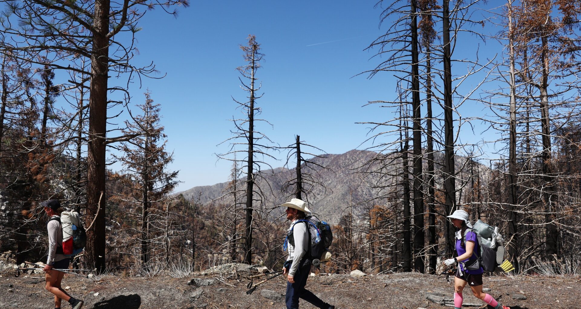 Pacific Crest Trail
