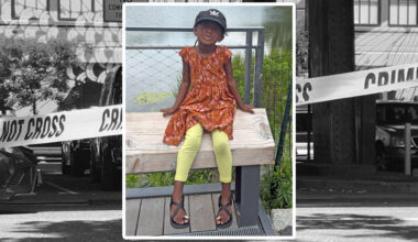 Cops Seek Hit-And-Run Driver Who Injured 4-Year-Old Girl Outside Bronx Playground