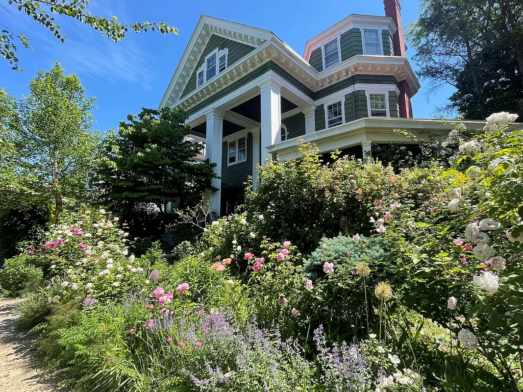 prospect park south - house with green clapboard and rose bushes in front