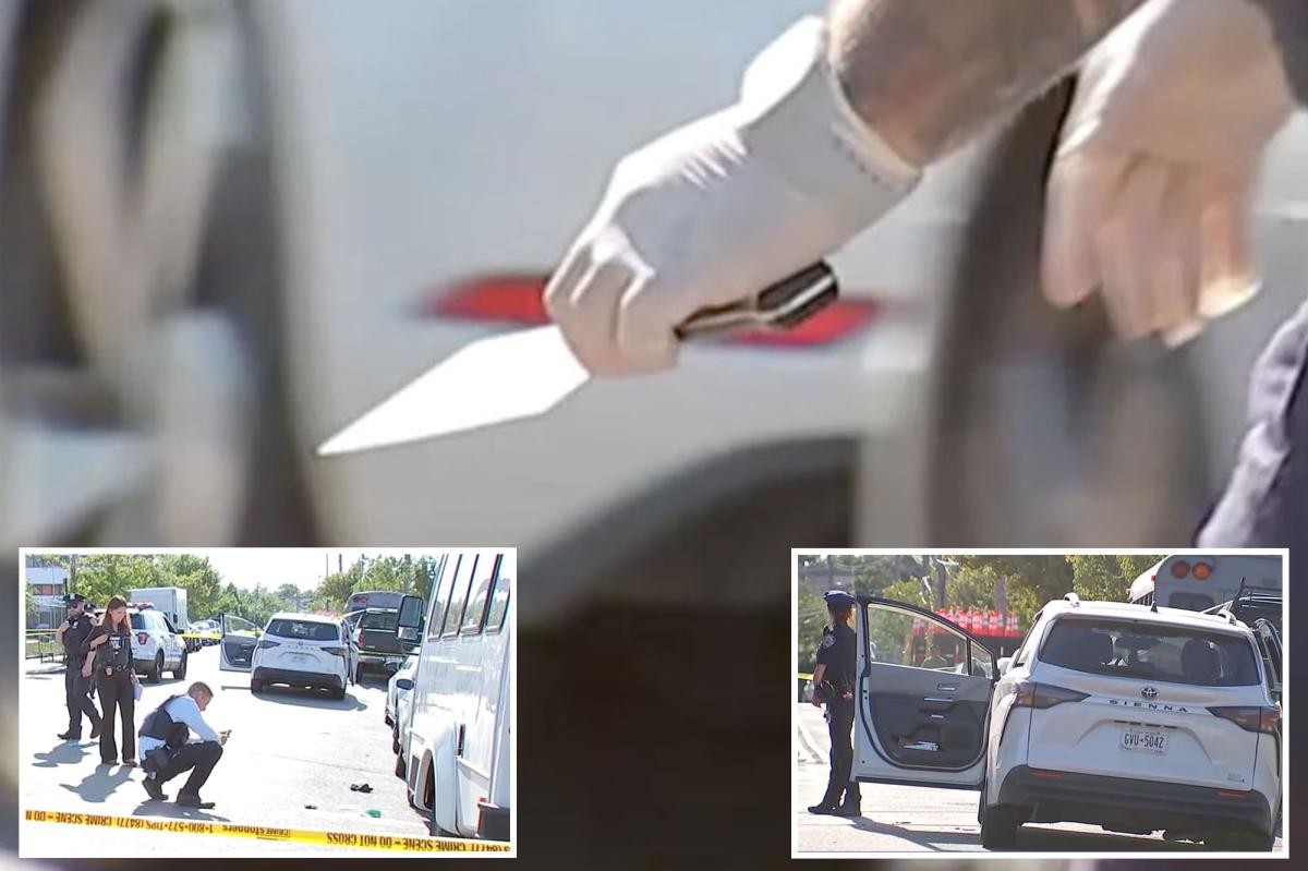 Maniac hacks man with meat cleaver in early morning Queens road-rage fight: sources