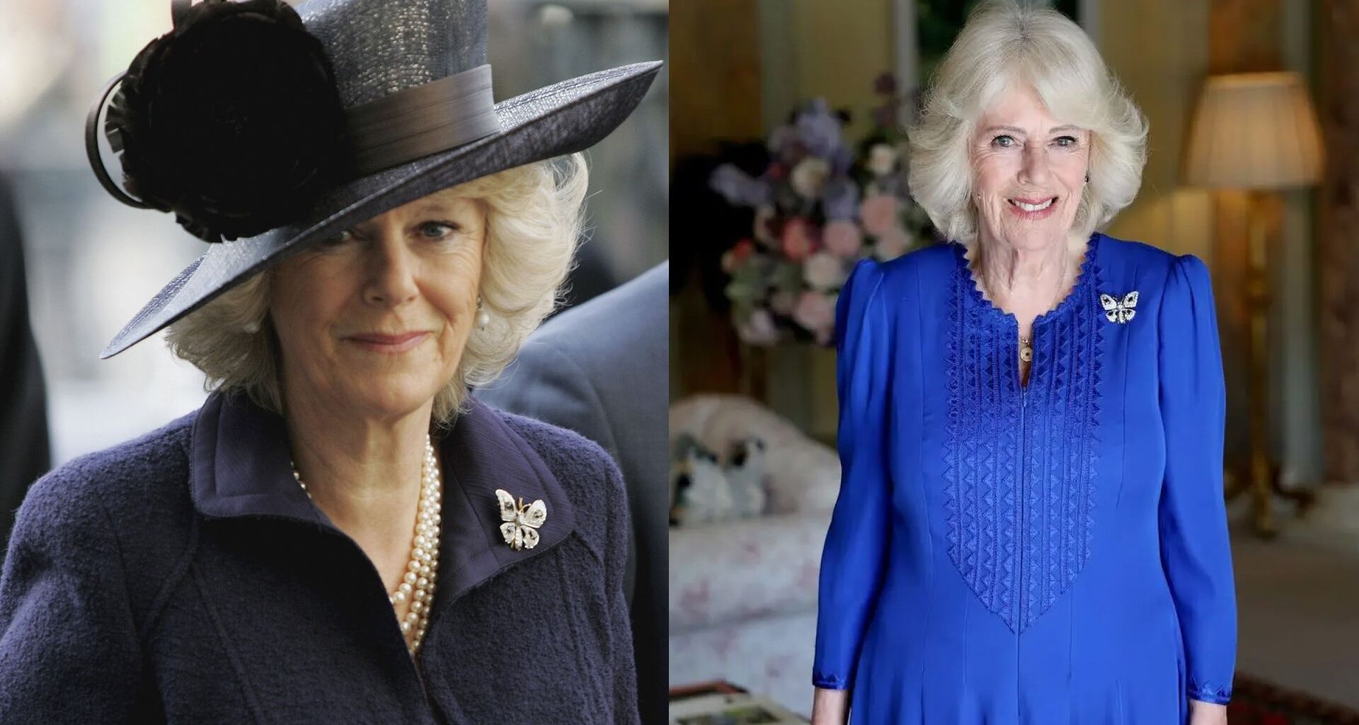 A split image of Queen Camilla wearing the same butterfly brooch on a navy coat and a blue dress
