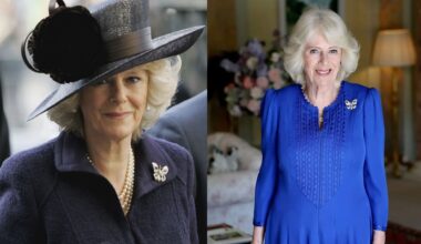 A split image of Queen Camilla wearing the same butterfly brooch on a navy coat and a blue dress