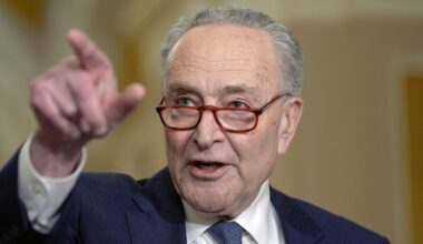 Sen. Majority Leader Chuck Schumer, D-N.Y., talks after a policy luncheon on Capitol Hill Tuesday, Dec. 3, 2024, in Washington. (AP Photo/Mariam Zuhaib)