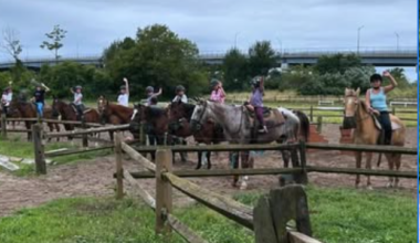 Senior Horses Find Peace After Brooklyn Riding Academy Closes