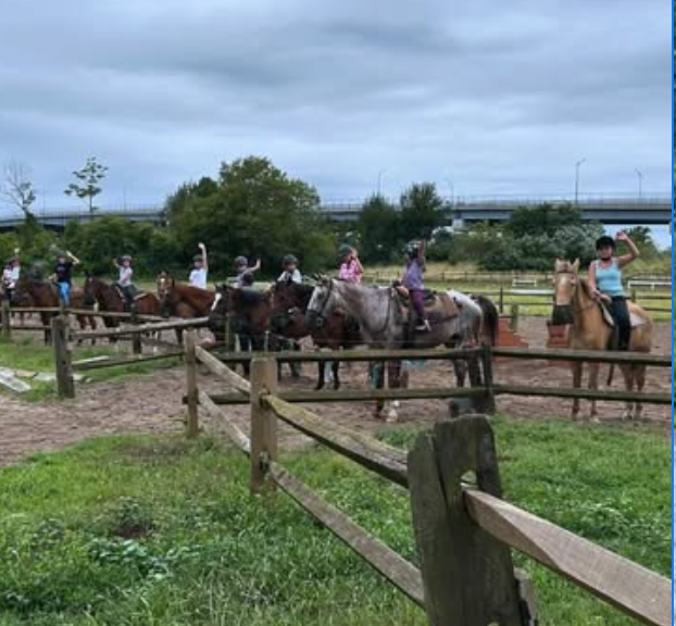 Senior Horses Find Peace After Brooklyn Riding Academy Closes