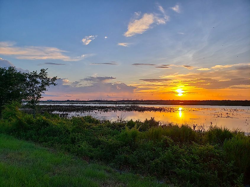 Hardeeville, South Carolina.
