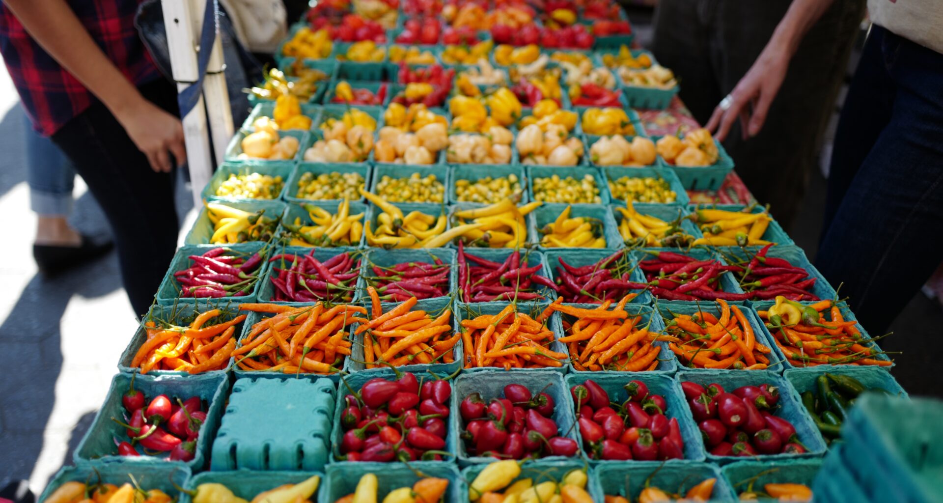 New York State Agriculture Commissioner Announces $750,000 Awarded to Support Farmers' Markets Across the State