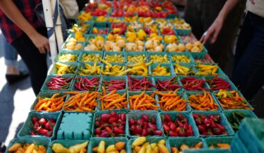 New York State Agriculture Commissioner Announces $750,000 Awarded to Support Farmers' Markets Across the State