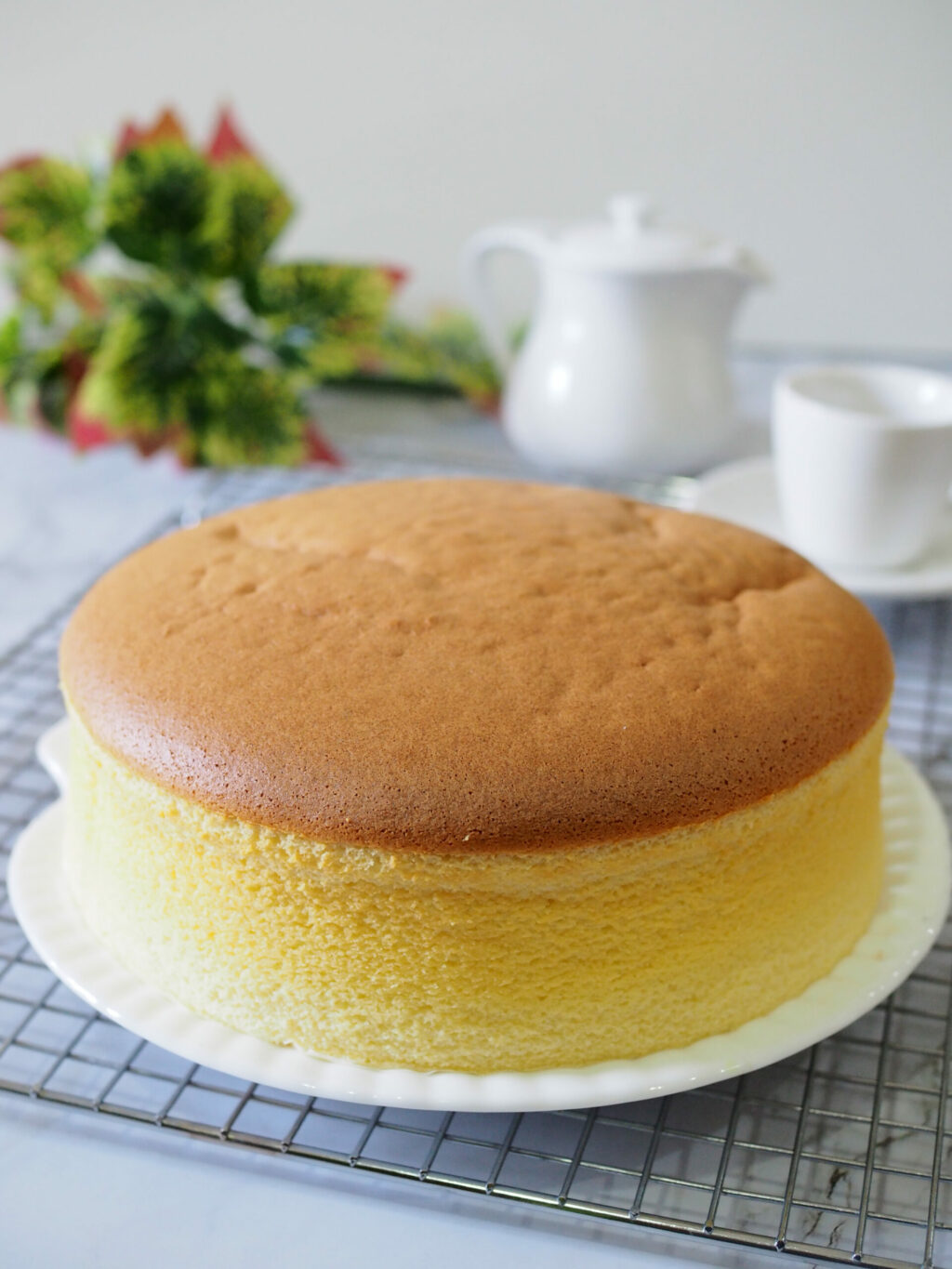 Japanese cheesecake