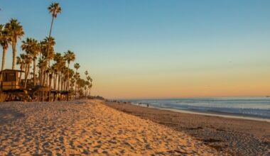 MANHATTAN BEACH ANNOUNCES NEW PUBLIC WORKS DIRECTOR