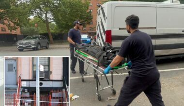 Skeletal remains discovered in vacant NYC brownstone