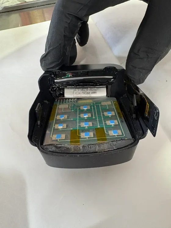 EBT theft devices