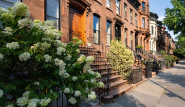 A row of classic brownstone townhouses, evoking the charm of a Brooklyn condo, features ornate railings and stairs, with blooming hydrangea and lush bushes along a sunny, empty sidewalk.