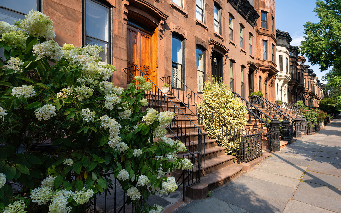A row of classic brownstone townhouses, evoking the charm of a Brooklyn condo, features ornate railings and stairs, with blooming hydrangea and lush bushes along a sunny, empty sidewalk.