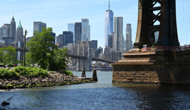 View of the Manhattan skyline with the Brooklyn Bridge and One World Trade Center in the background, seen from the waterfront near the base of the Manhattan Bridge, with trees and greenery in the foreground.