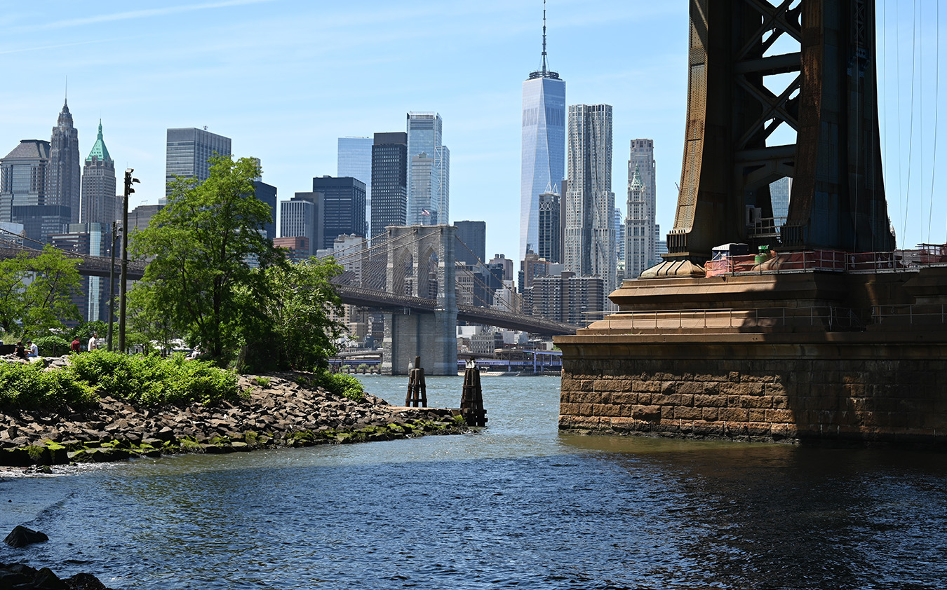 View of the Manhattan skyline with the Brooklyn Bridge and One World Trade Center in the background, seen from the waterfront near the base of the Manhattan Bridge, with trees and greenery in the foreground.
