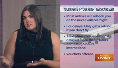 What to do if your flight gets canceled