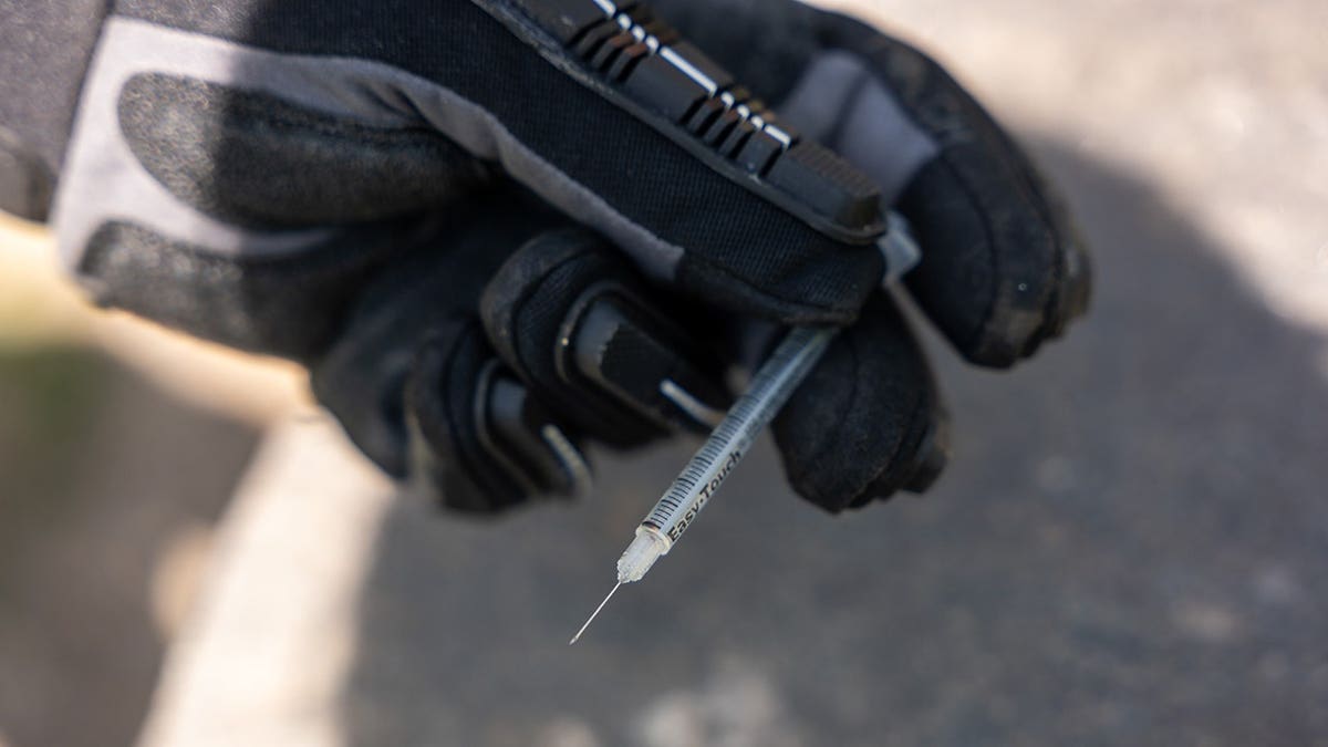 Outreach workers participate in a needle clean-up in a Bronx park.