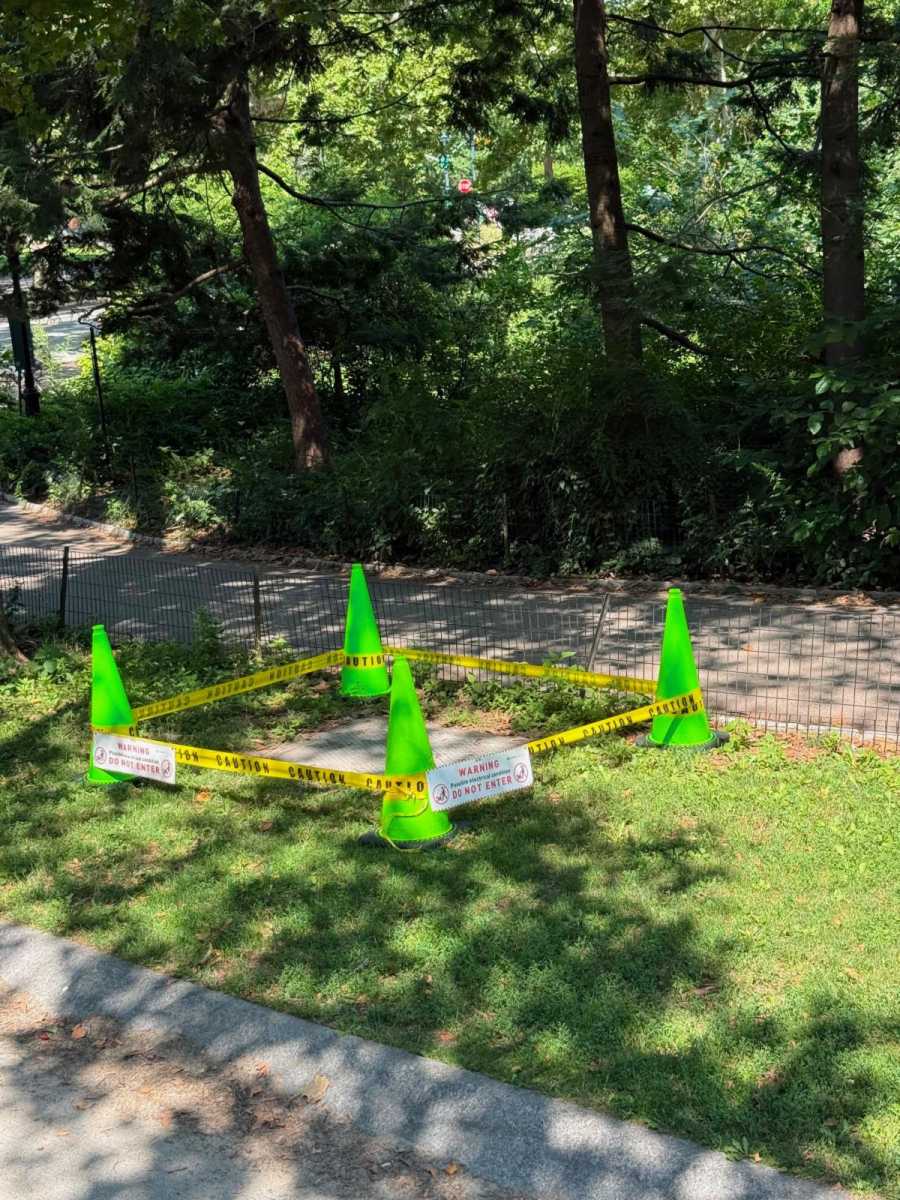 a coned off area in the park