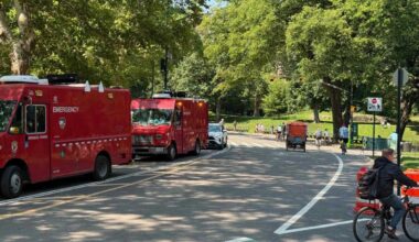 Stray voltage may have caused fatal Central Park horse carriage crash, union argues