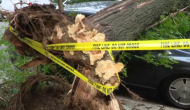 NYC storm cleanup underway after severe weather leaves trail of damage