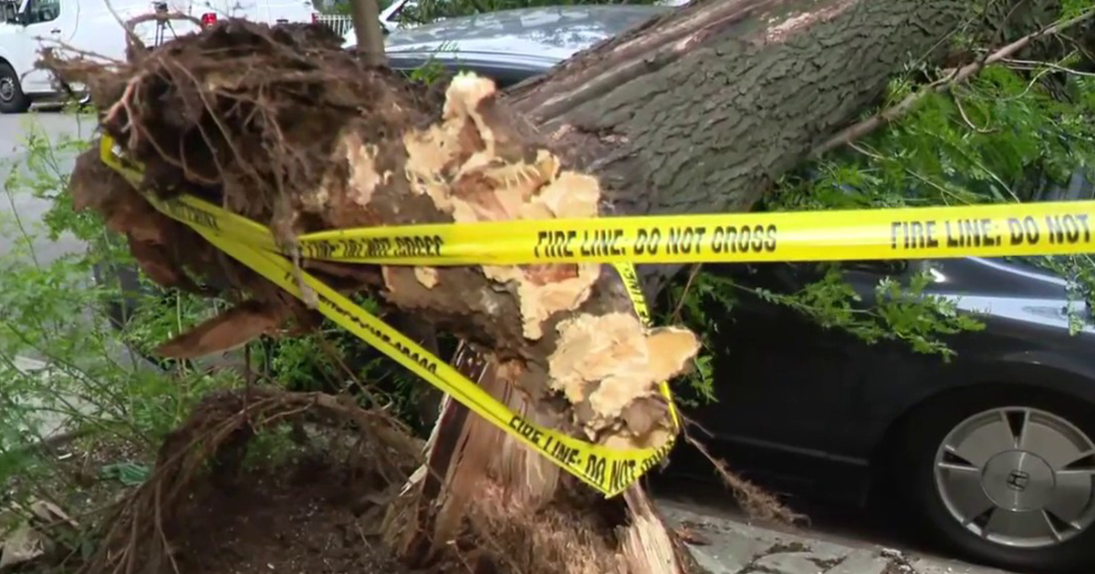 NYC storm cleanup underway after severe weather leaves trail of damage